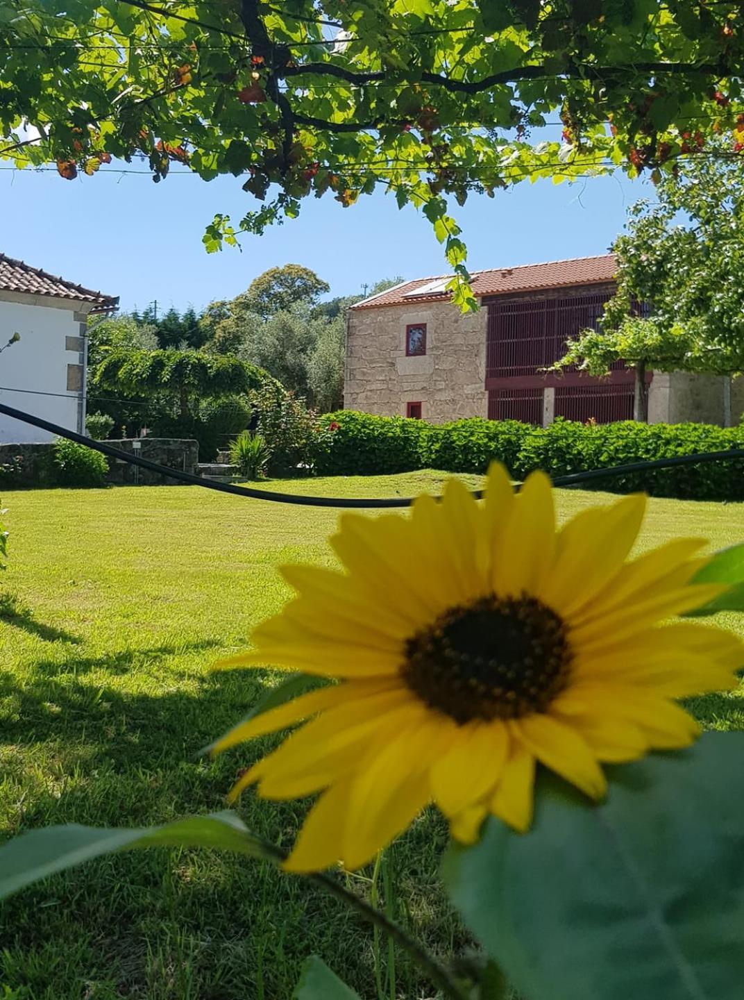 Casas Da Quinta Da Cancela Balugães Exterior photo